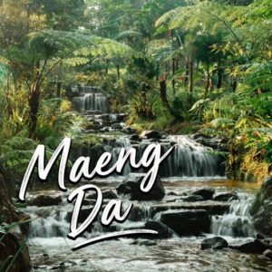 White Indonesian Horned Leaf Maeng Da (Morning Kratom)