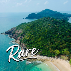 Green Malaysian Elephant Kratom